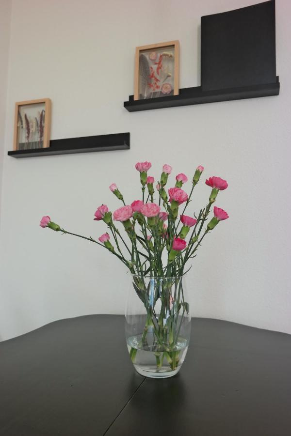 Slaap Lekker Apartment Dokkum Ngoại thất bức ảnh